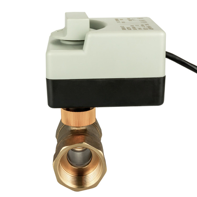 수동 스위치 금관 악기에 의하여 자동화되는 벨브를 가진 3개의 철사 2 통제 전기 액추에이터 AC220V